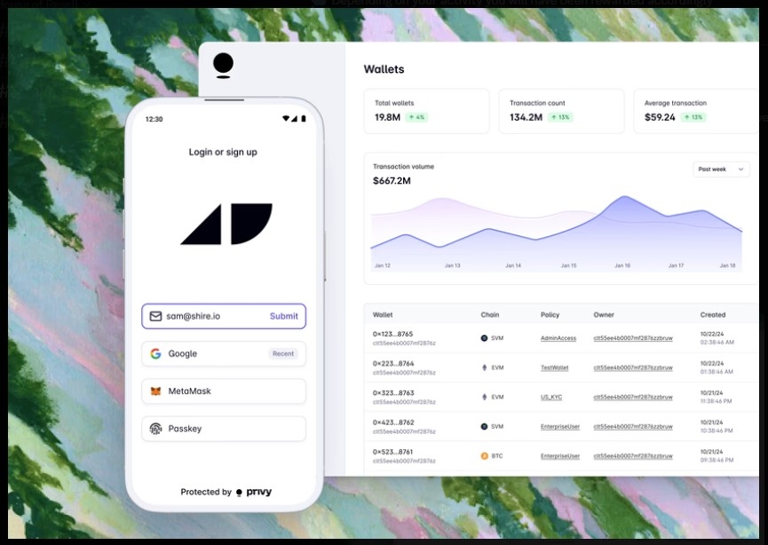 Privy_Wallet_Airdrop_NFT_Tokens_1