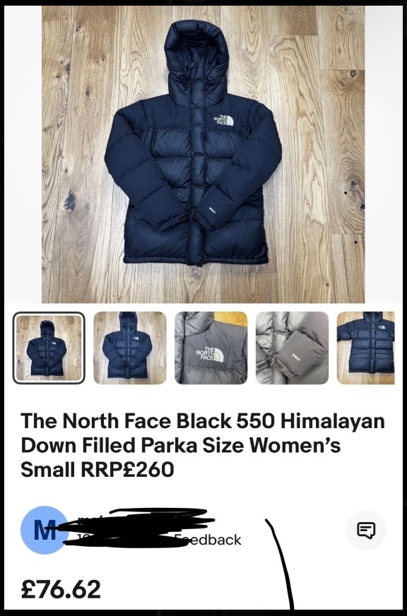 The_North_Face_550_Himalayan_Parka_Vinted